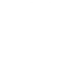 ارش سازان سایه‌گستر ارم